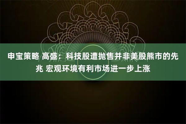申宝策略 高盛：科技股遭抛售并非美股熊市的先兆 宏观环境有利市场进一步上涨