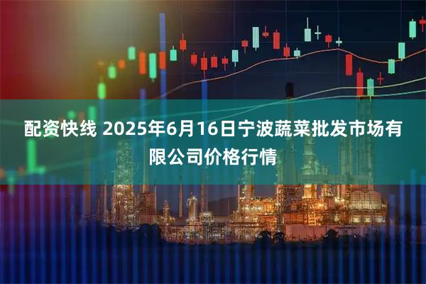 配资快线 2025年6月16日宁波蔬菜批发市场有限公司价格行情