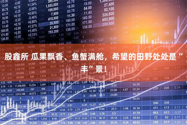 股鑫所 瓜果飘香、鱼蟹满舱，希望的田野处处是“丰”景！