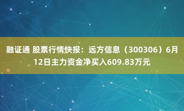 融证通 股票行情快报：远方信息（300306）6月12日主力资金净买入609.83万元
