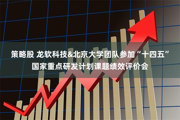 策略股 龙软科技&北京大学团队参加“十四五”国家重点研发计划课题绩效评价会